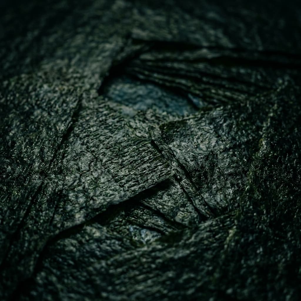 Premium Japanese Nori Background